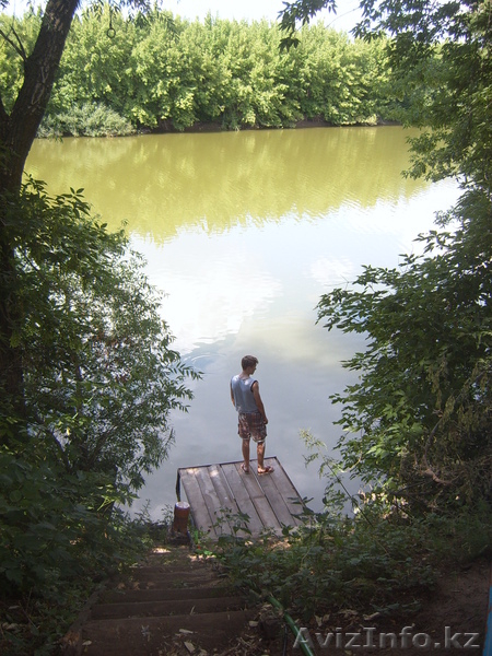 коттедж на берегу-не затапливается - 4 комнаты-дешево - Изображение #5, Объявление #925041