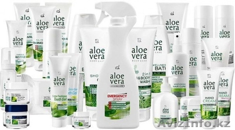 Крупная немецкая компания ищет партнеров для работы в г.Уральск - Изображение #3, Объявление #1012366