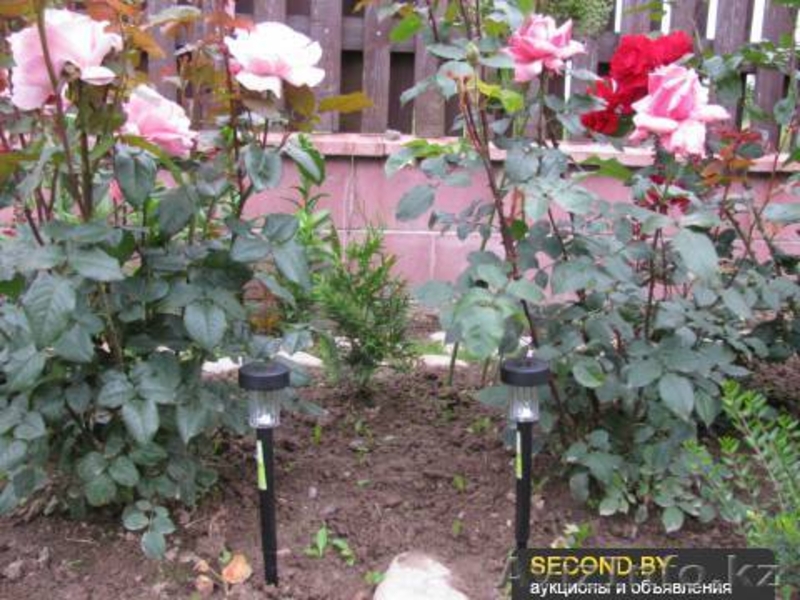 продажа садовых и газонных фонариков на солнечной батарее - Изображение #5, Объявление #1031423