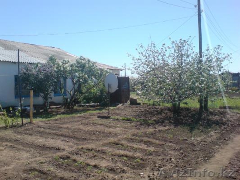 Срочно продам дом в п. Магистральный - Изображение #3, Объявление #1044301