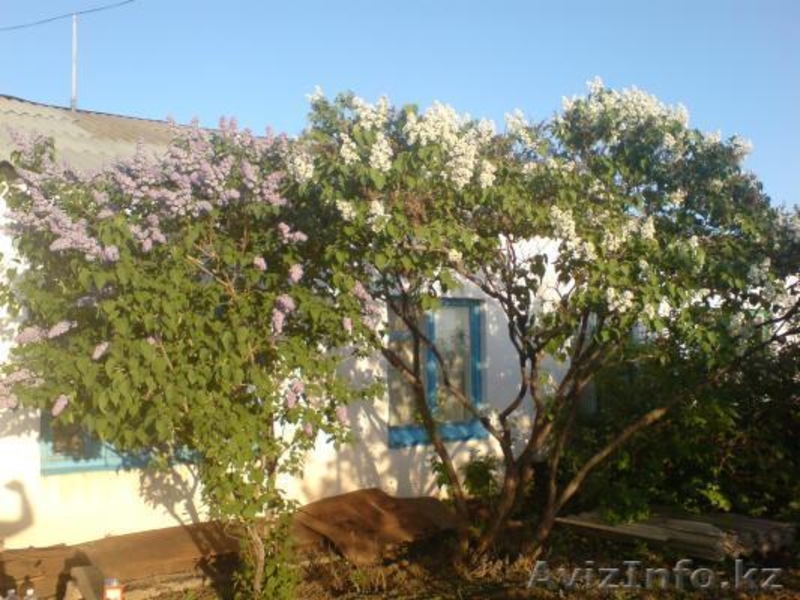 Срочно продам дом в п. Магистральный - Изображение #1, Объявление #1044301