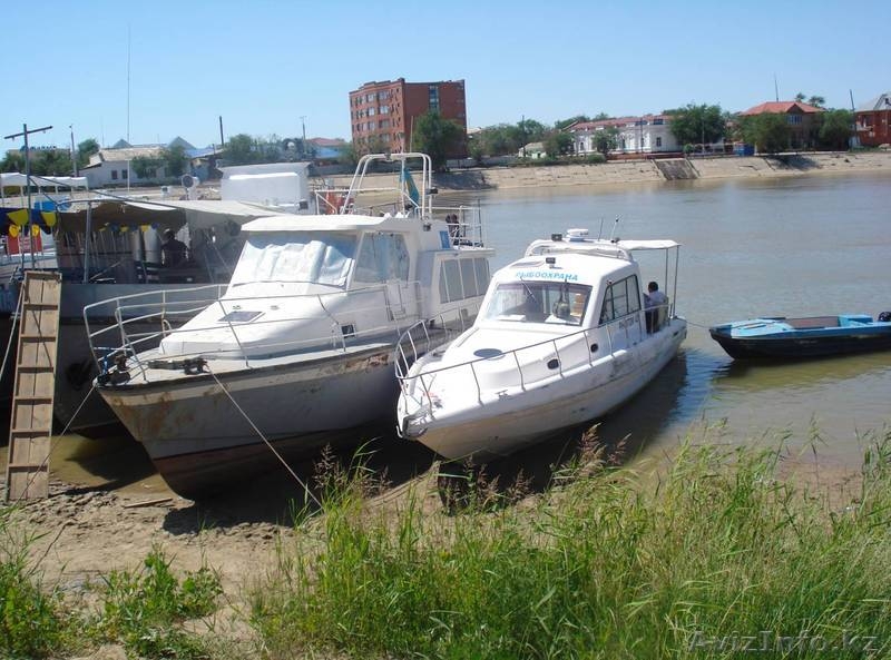 Востребованные курсы - Изображение #6, Объявление #1047561