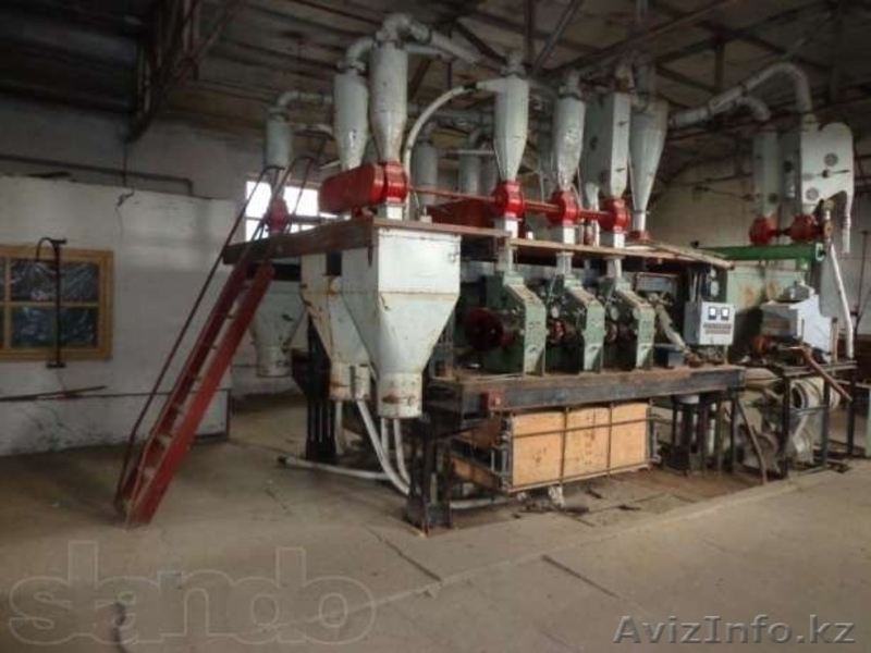 Хозяйство рядом г.Уралск - Изображение #4, Объявление #1059893