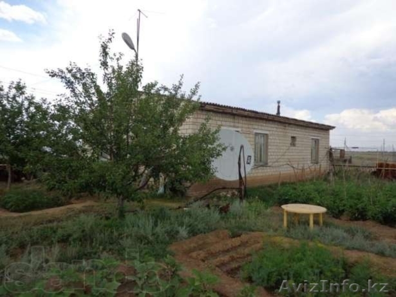 Хозяйство рядом г.Уралск - Изображение #7, Объявление #1059893