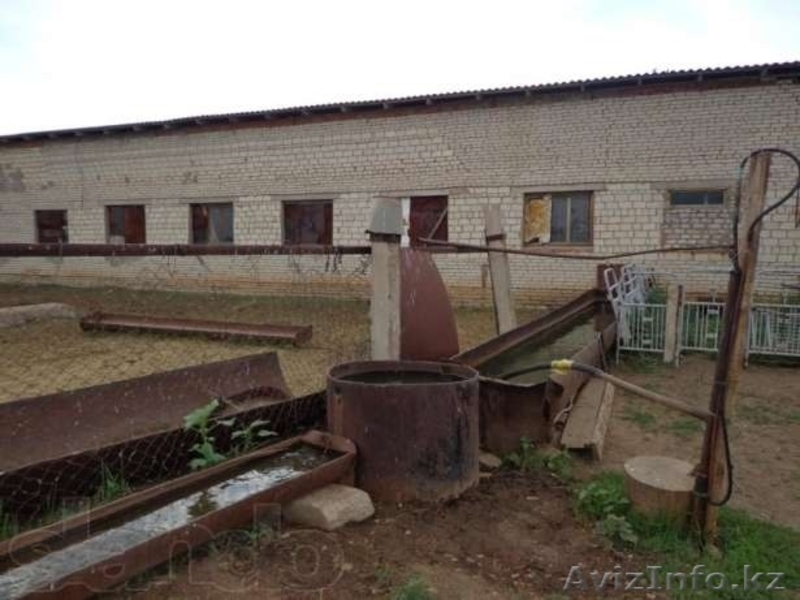 Хозяйство рядом г.Уралск - Изображение #10, Объявление #1059893