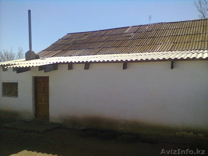 найля 87058023551 - Изображение #2, Объявление #1074641