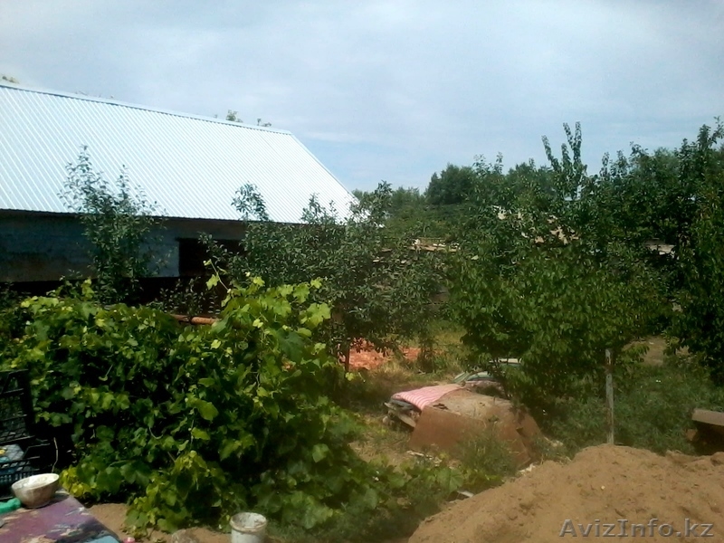 Сельский рай! Срочно продам дом в Деркуле - Изображение #3, Объявление #1116918