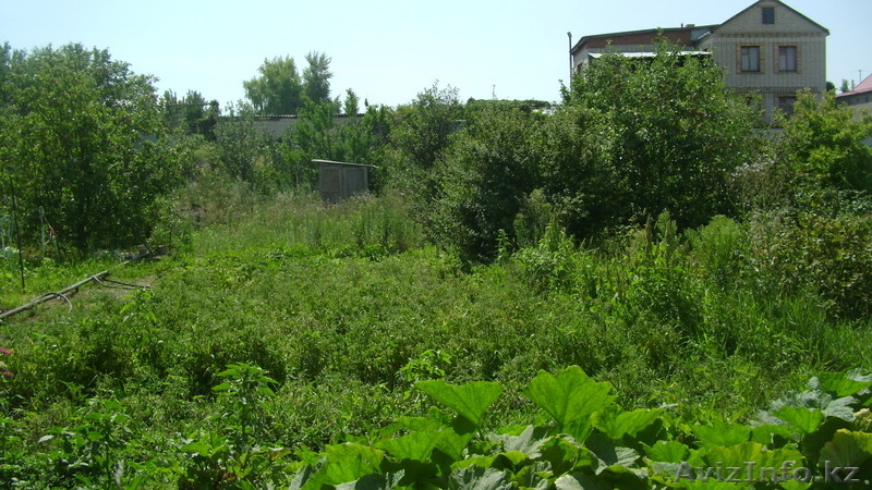  АСАН- Посмотрите и оцените, здесь хорошие преимущества.      - Изображение #3, Объявление #1128673