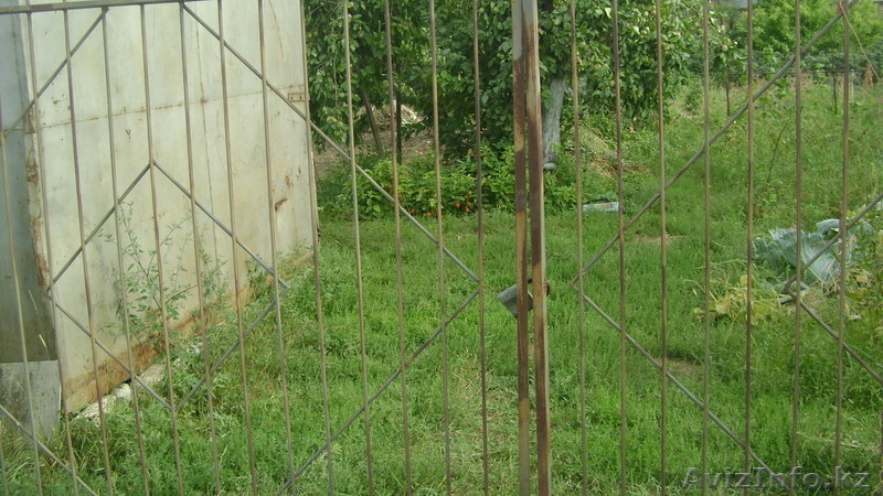  (Асан) Дачный участок , 8 соток с вагончиком - Изображение #5, Объявление #1138612