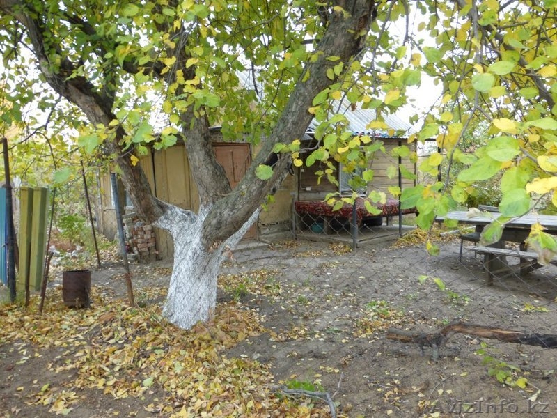  САМАЛ 3 Когда вы обладаете участком земли, вы обладаете   частью всего мира - Изображение #4, Объявление #1172743