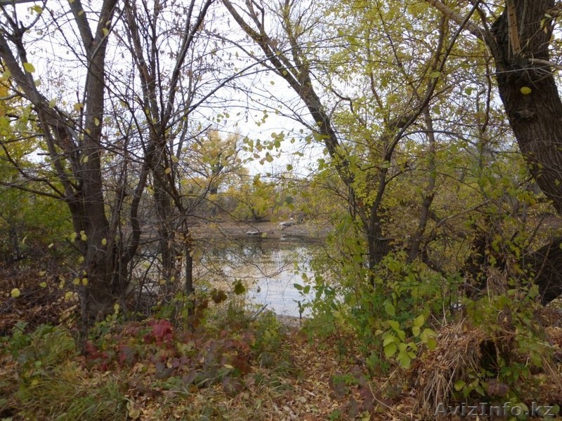  САМАЛ 3 Когда вы обладаете участком земли, вы обладаете   частью всего мира - Изображение #5, Объявление #1172743