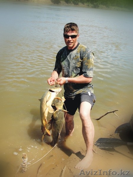   Отличное уединенное место для летнего отдыха - Изображение #1, Объявление #1223542