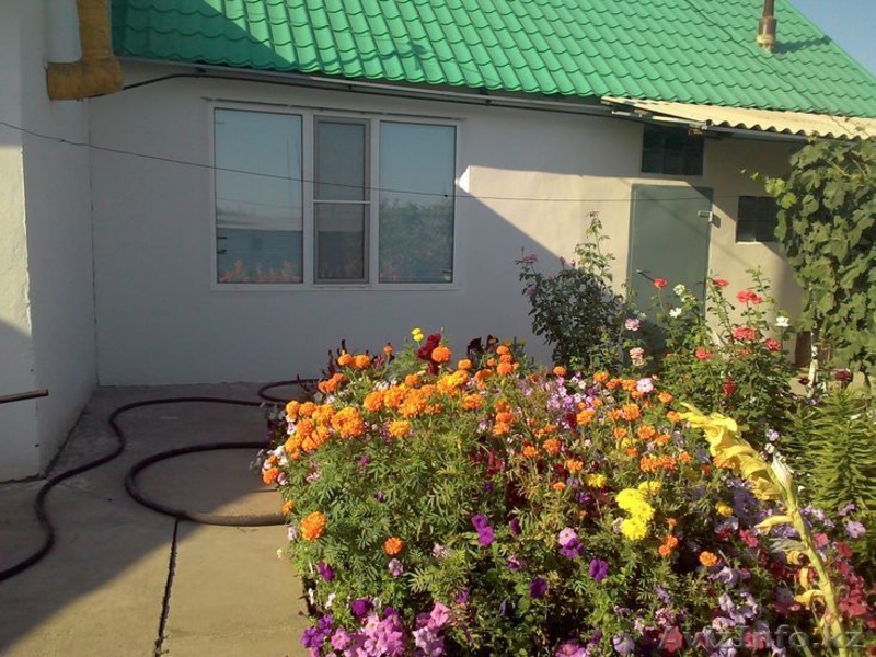 Продам дом недорого - Изображение #3, Объявление #1263393