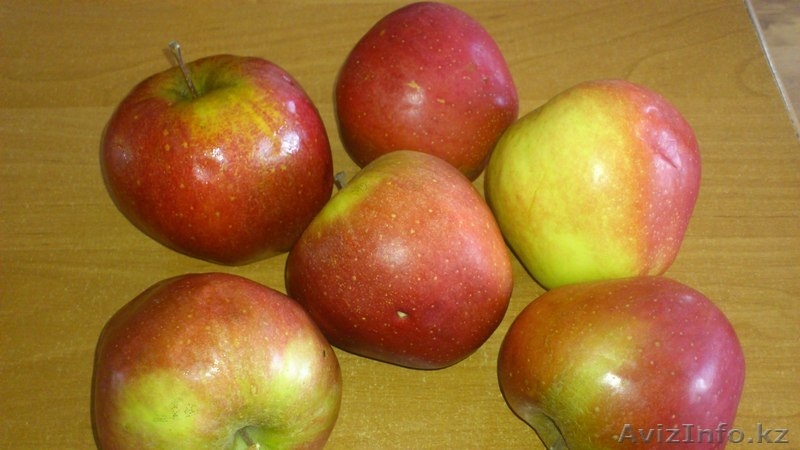 ЯБЛОКИ - ПОЛЬША - Изображение #2, Объявление #1273367