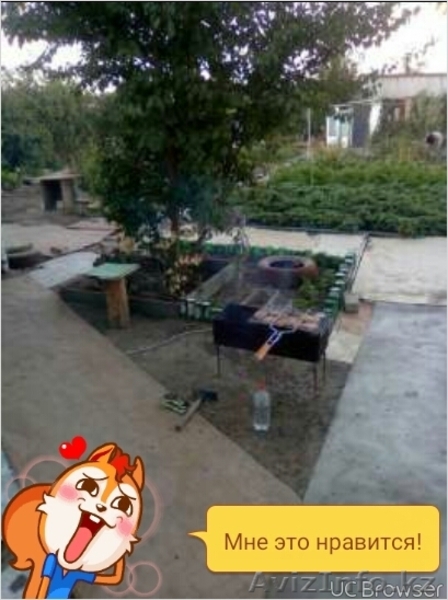 Продам дачу. Автодорожник. - Изображение #3, Объявление #1538095