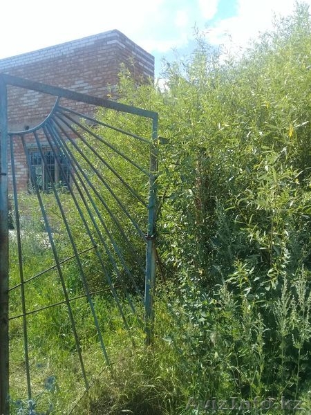 Продажа Дачи СРОЧНО - Изображение #3, Объявление #1573080