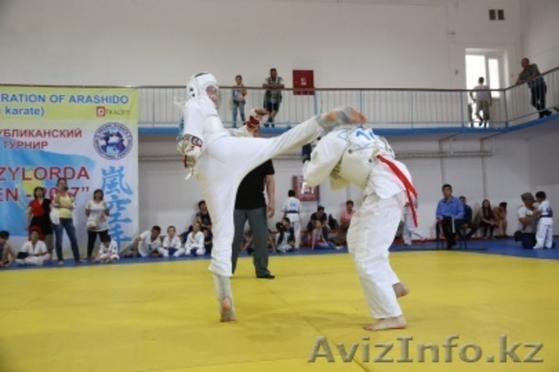 Араши Каратэ - Изображение #2, Объявление #1584958