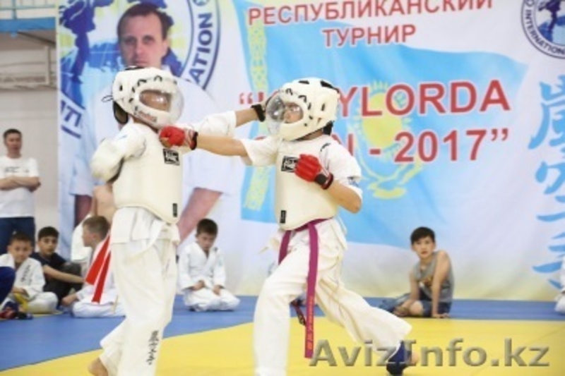 Араши Каратэ - Изображение #3, Объявление #1584958