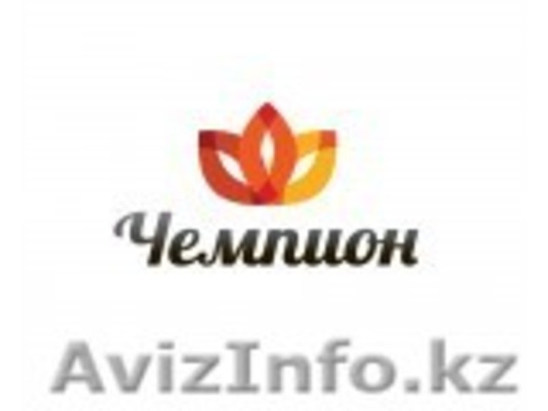 строительство домов под ключ - Изображение #1, Объявление #1590718