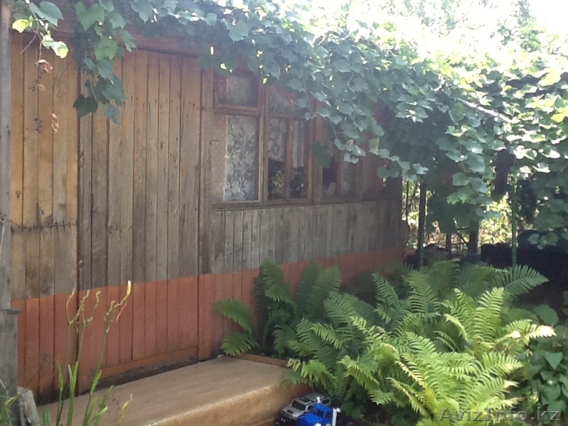 Деревянный дачный дом - Изображение #2, Объявление #1613201