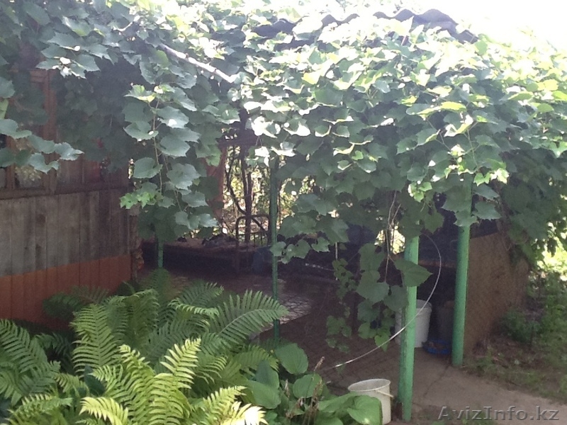 Деревянный дачный дом - Изображение #3, Объявление #1613201