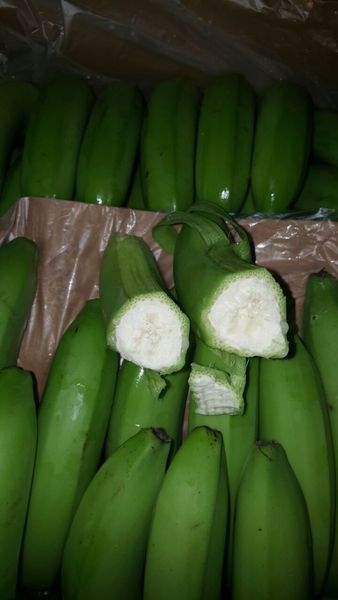 оптовые поставки бананов - Изображение #2, Объявление #715069