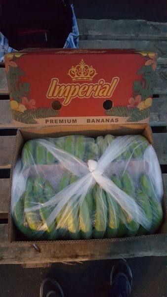 оптовые поставки бананов - Изображение #3, Объявление #715069